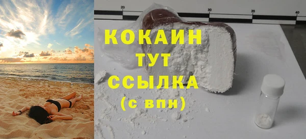 твердый Алзамай