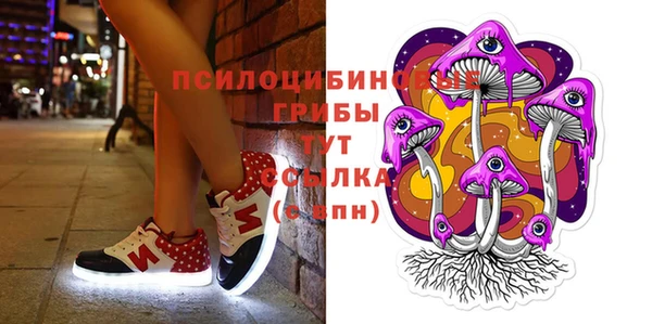гашик Алексеевка