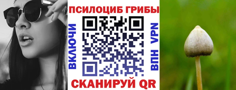 Псилоцибиновые грибы GOLDEN TEACHER  мега ТОР  Старая Русса 